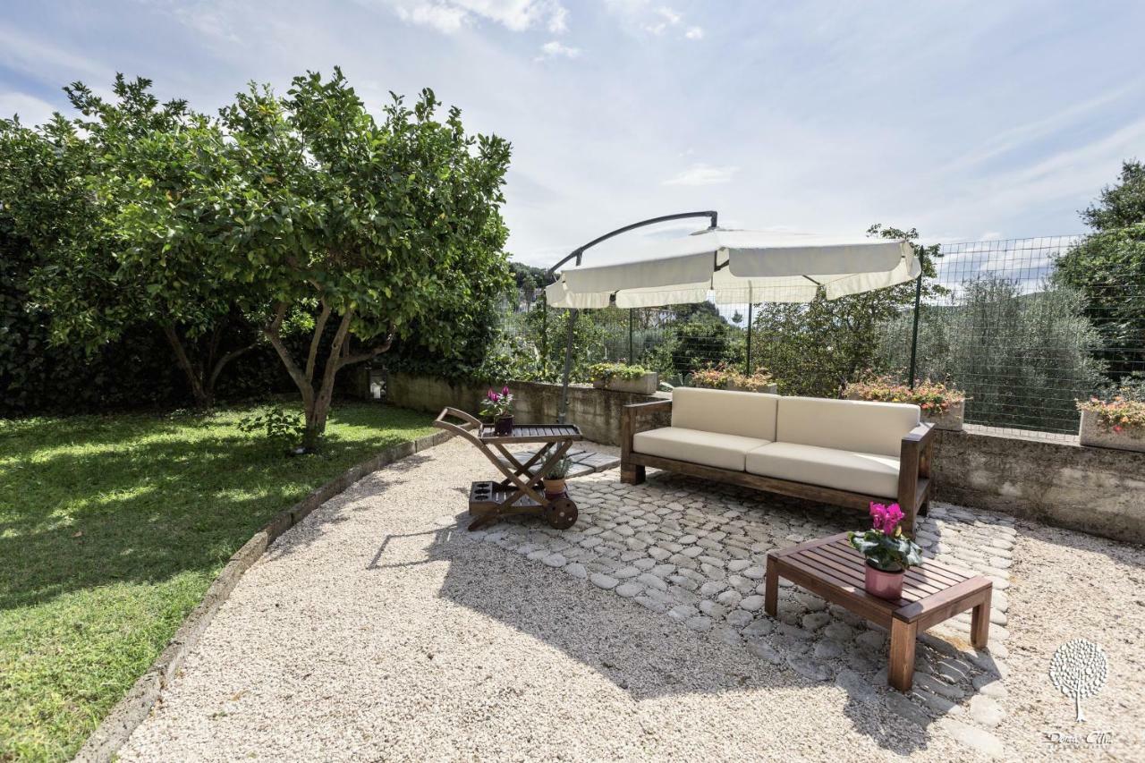 Domus Citri Bed & Breakfast Caserta Bagian luar foto